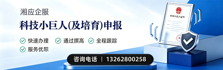 宜昌科技小巨人及培育企业申报服务