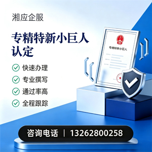 宜昌专精特新小巨人申报服务