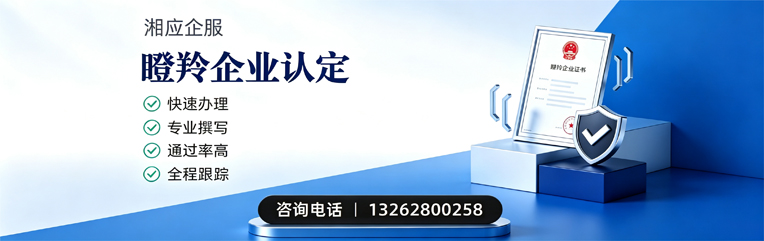 宜昌瞪羚企业认定申报服务