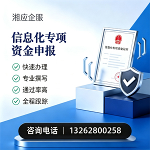 宜昌信息化专项资金申报服务
