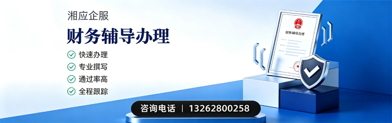 宜昌财务辅导申请服务