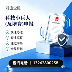 宜昌科技小巨人及培育企业申报服务