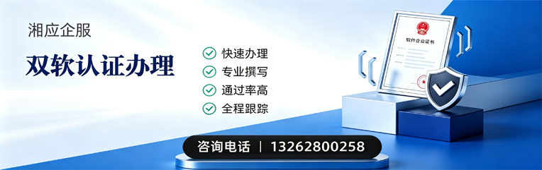 宜昌双软认证申报服务