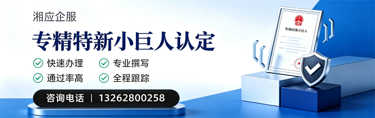 宜昌专精特新小巨人申报服务